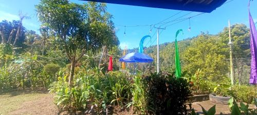 Munduk House | Gosela Bali