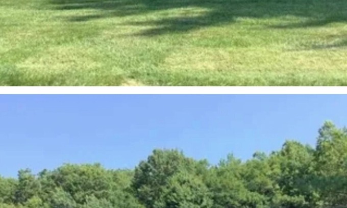 Woodbridge Condo | Great location, local to New York. Everything is around here. You will love this