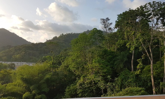 Arima Apartment | Greene Kairi (Arima) near Asa Wright Nature Centre