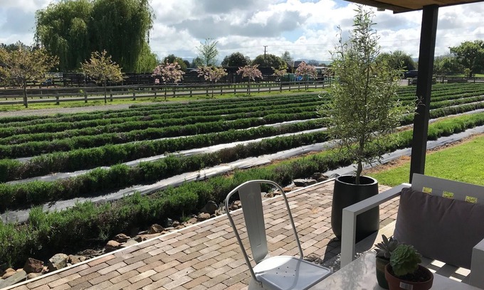 Cambridge House | Guest House in the Lavender Field