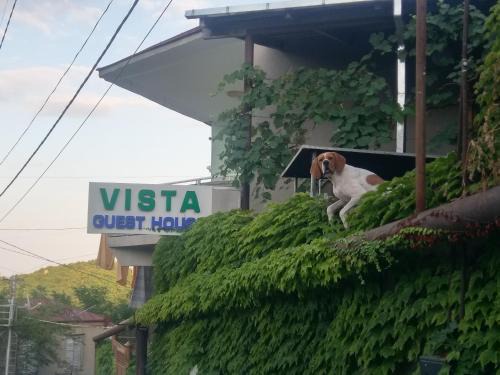 Sighnaghi House | Guest House Vista