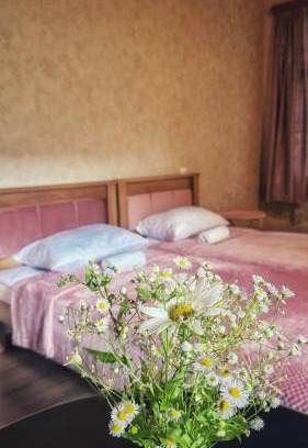 Ambrolauri House | guest house zizi