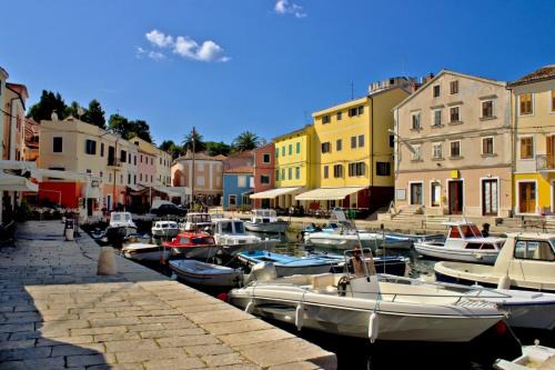 Cove Murtar Apartment | Guesthouse Losinj (4241)
