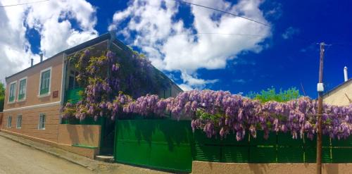 Telavi House | GuestHouse Natali