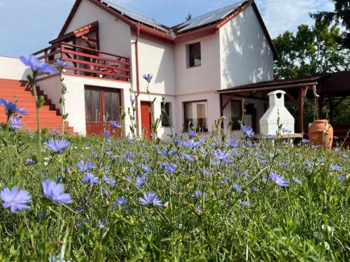 Veroce Apartment | Gyimesvölgy Vendégház