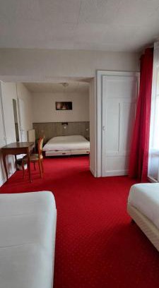 Evian-les-Bains Hotel | Hôtel du Palais