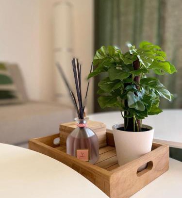 Orient Bay Apartment | Happy studio Orient bay Palm court Residence