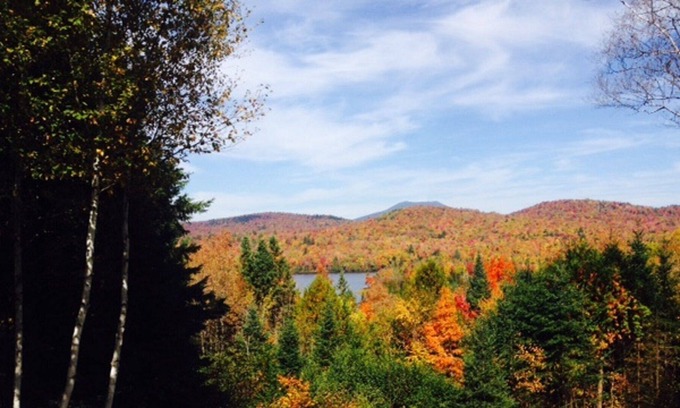 Essex County Cabin | Have a cup of coffee, beer or glass of wine at this writer's retreat