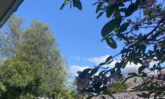 Havelock North House | Havelock Hideaway - A relaxing holiday home with a pool!