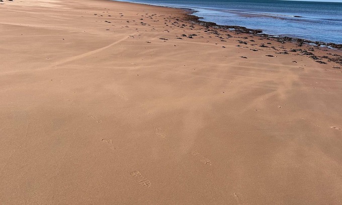 York Cottage | Hear the ocean from spacious, pet friendly cottage, a stones throw from beach!