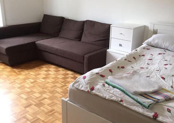 Basel City Centre Apartment | Heart of Basel , River Side entire apartment