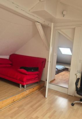 Rapperswil Apartment | Helle Wohnung im Stadtzentrum