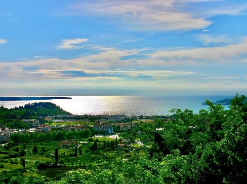 Lucija Apartment | Hiša Olive Portorož - Olive House Portorož
