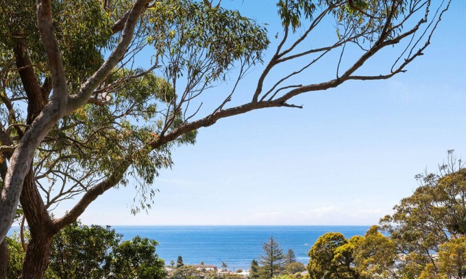Collaroy House | Hidden Oasis - Ocean Views