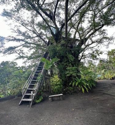 Tanna Island House | Hideaway Treehouse