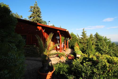 Szentendrei Apartment | Hilltop Hideout