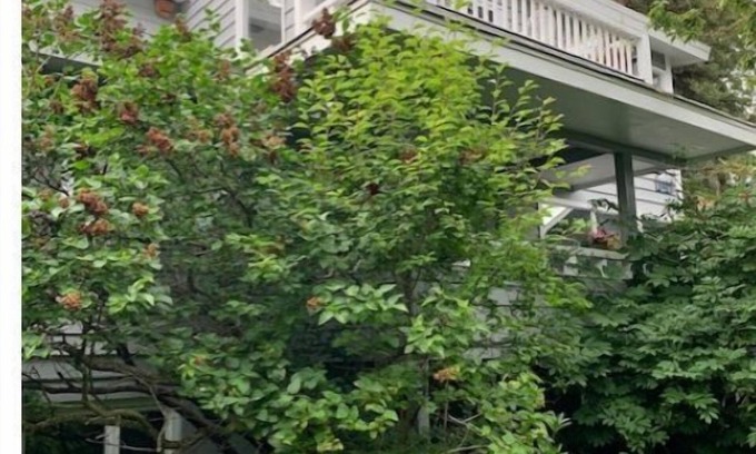 South Addition Bed & Breakfast | Historic Downtown 2BR large Apt near Ocean
