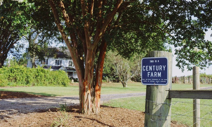 Williamston House | Historic Farm House on 400 Acre Cattle Farm near Clemson, SC