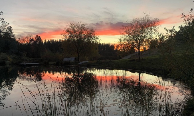 Colfax Cabin | Historical 2 story private 3 bedrooms ranch cabin in Colfax on 14 acres