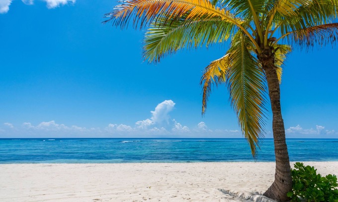 Savannah Condo | Hits the Spotts: Your Tranquil Island Retreat