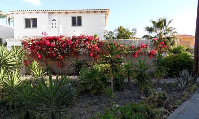 Palm-Mar Apartment | Holiday apartment Arona for 1 - 2 persons with 1 bedroom - Row house