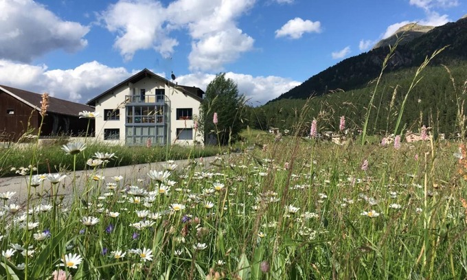 Surlej Other | Holiday apartment Silvaplana for 1 - 2 persons with 1 bedroom - Farmhouse