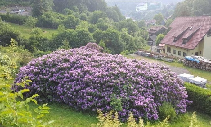 Stolberg House | Holiday home for 3 guests with 48m² in Südharz - Stolberg (110418)