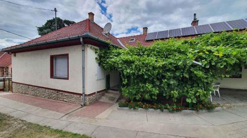 Balatonkiliti House | Holiday home in Siofok - Balaton 43122