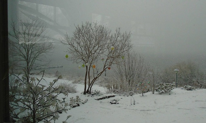 Plau am See House | Holiday house only 20 m to Plauer See - holiday home in a fantastic location directly on Lake Plau - 20 m