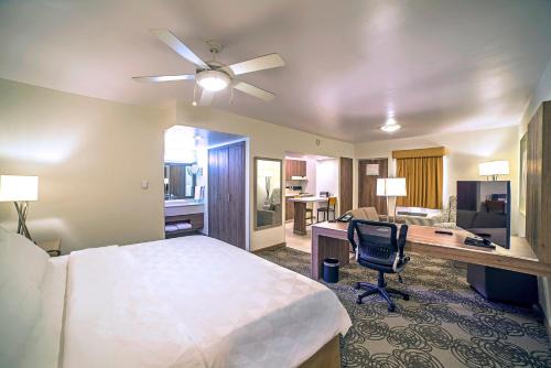 Chihuahua Hotel | Holiday Inn & Suites Chihuahua Expo by IHG