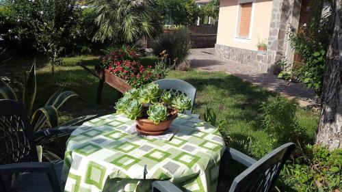 Castelnuovo Cilento Apartment | Holidays in Cilento