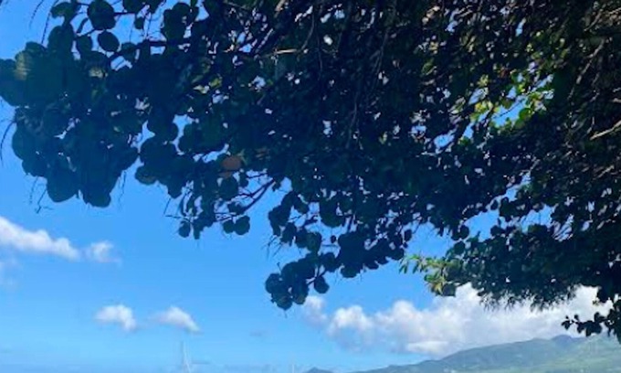 Saint-Pierre Apartment | Homerez - Appartement 1 km away from the beach for 3 ppl. with shared pool