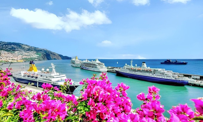 Sao Roque Apartment | Homerez - Apt Funchal Balcony View