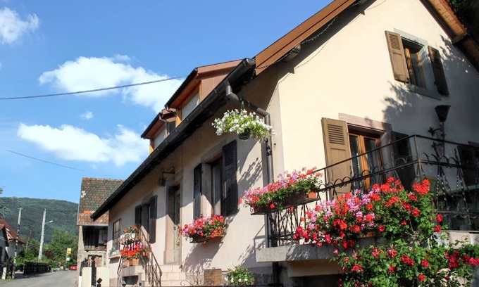 Wuenheim House | Homerez - Charming house in Wuenheim with garden and terrace