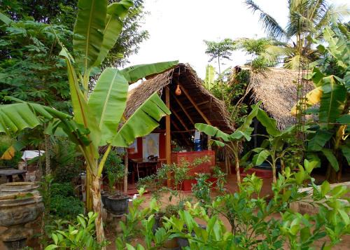 Anuradhapura Other | HOMESTAY CAMPING ANURADHAPURA