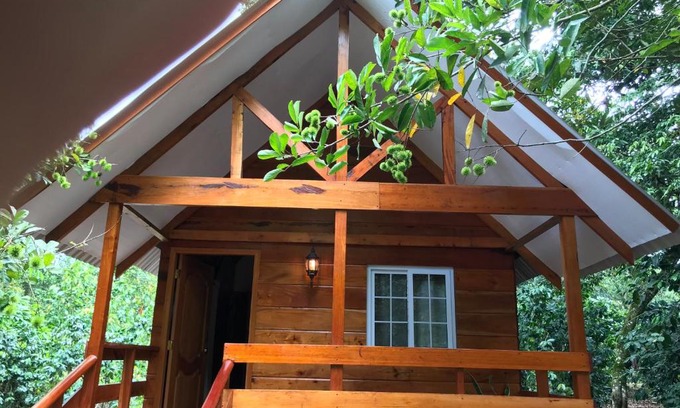El Eden Cabin | Hospedaje En El Lago…