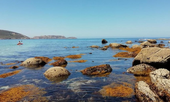 Malpica de Bergantinos House | Hostal J.B