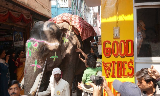 Varanasi Hostel | Hostel ∙ 8 guests