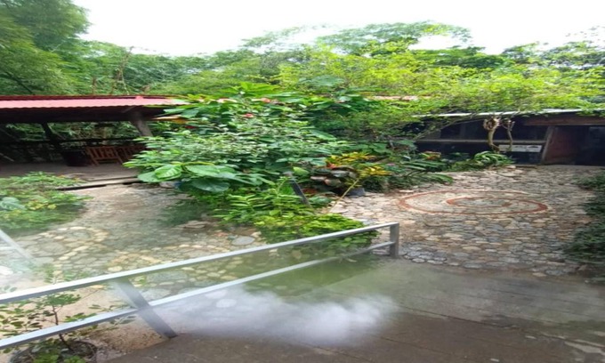 Minca Hostel | Hostel ∙ 8 guests
