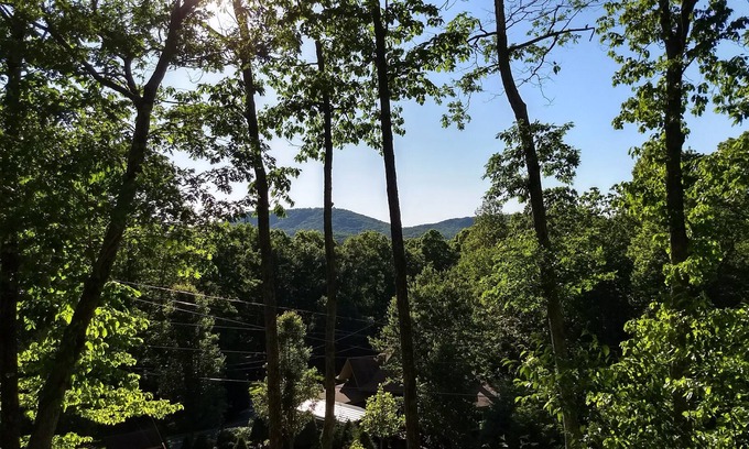 Owl Town Retreat Cabin | Hot Tub, Mtn View, High Speed WIFI- close to town yet away from it all !