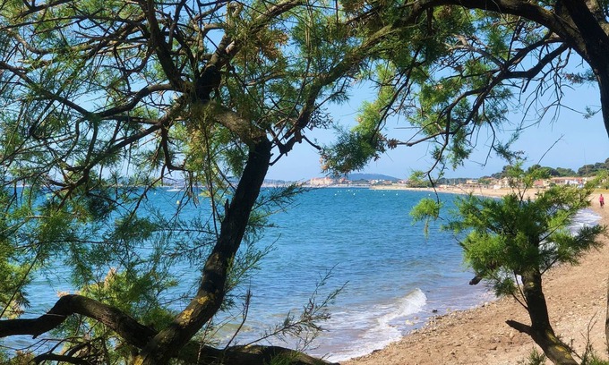 Hyeres Hotel | Hotel de la mer – Restaurant Tom Cariano