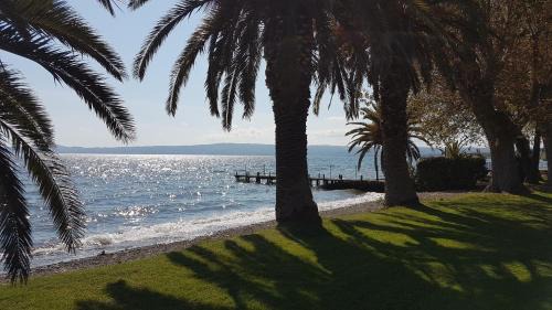 Bolsena Hotel | Hotel Eden Sul Lago