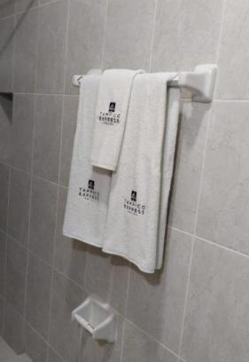 Panuco Hotel | HOTEL TAMPICO EXPRESS MORALILLO