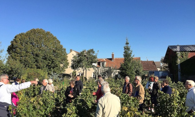 Chablis Apartment | House in the heart of the village of Chablis