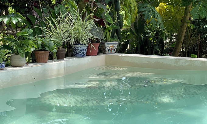 Solferino House | House in the jungle 2 BEDROOMS, EQUIPPED KITCHEN & ALBERCA