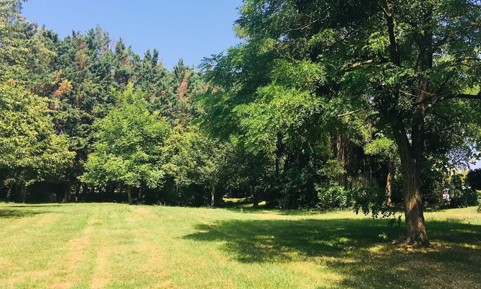 Saint-Meard-de-Gurcon House | House of character in the heart of the vineyards - 4 people - very large wooded land