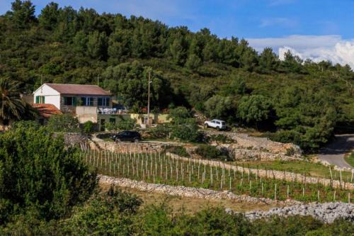 Cove Rogacic House | House Paradiso