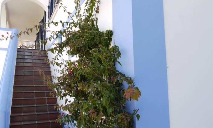 Sao Martinho do Porto House | House with garden