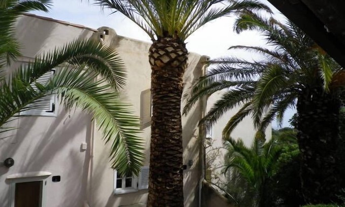 Stintino House | House with views in the countryside Casa nel verde con vista Lovely house with view