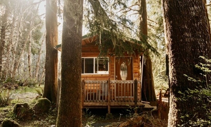 Forks Cabin | Huckleberry Cabin near La Push beaches